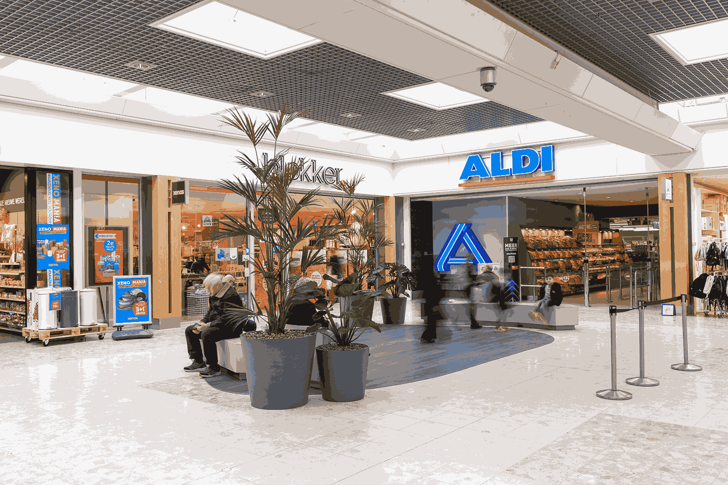 aldi